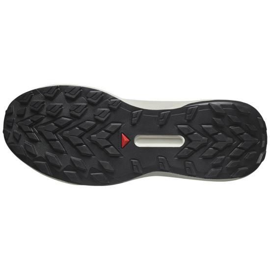 Salomon Genesis